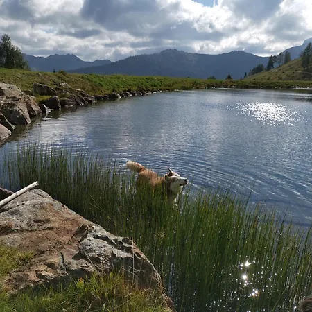 Kaerntnerhof & 3 3* Presseggersee