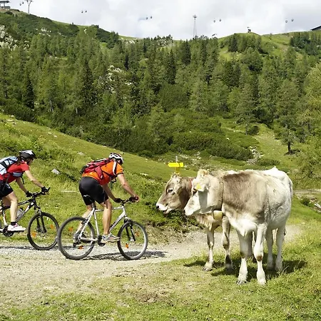 Kaerntnerhof & 3 Hotel 3*