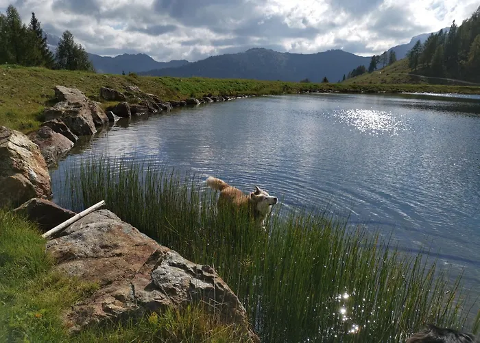 Kaerntnerhof & 3 3* Presseggersee